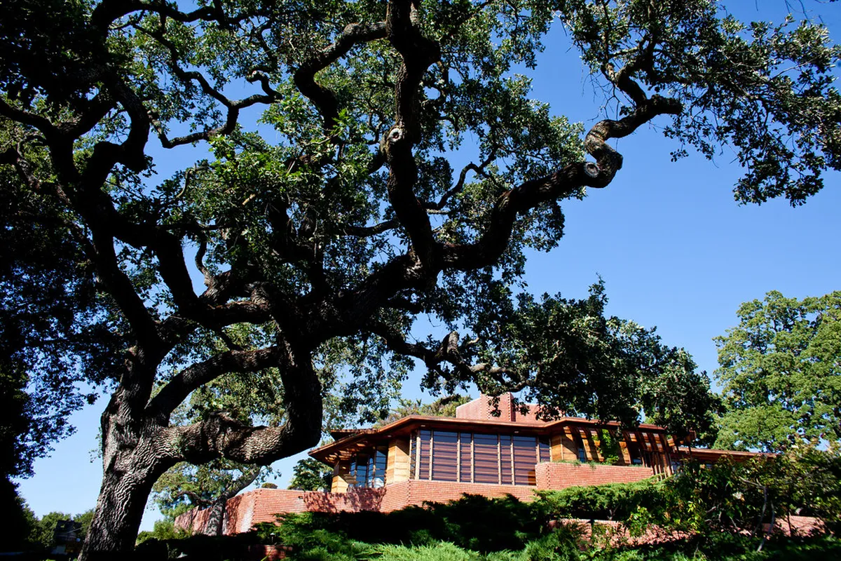 Seminar Garden Terrace Photography Tips