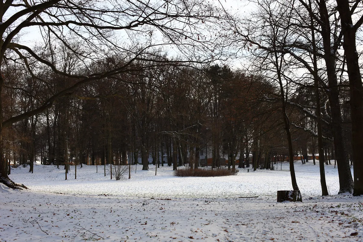 Chodová Planá Beer Spa Experience: Is It Worth It?