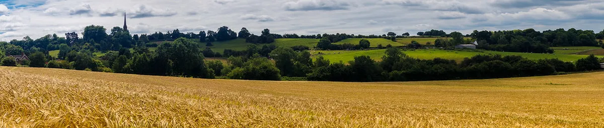 Climbing the St Bartholomew Cathedral Tower Stairs: A Guide
