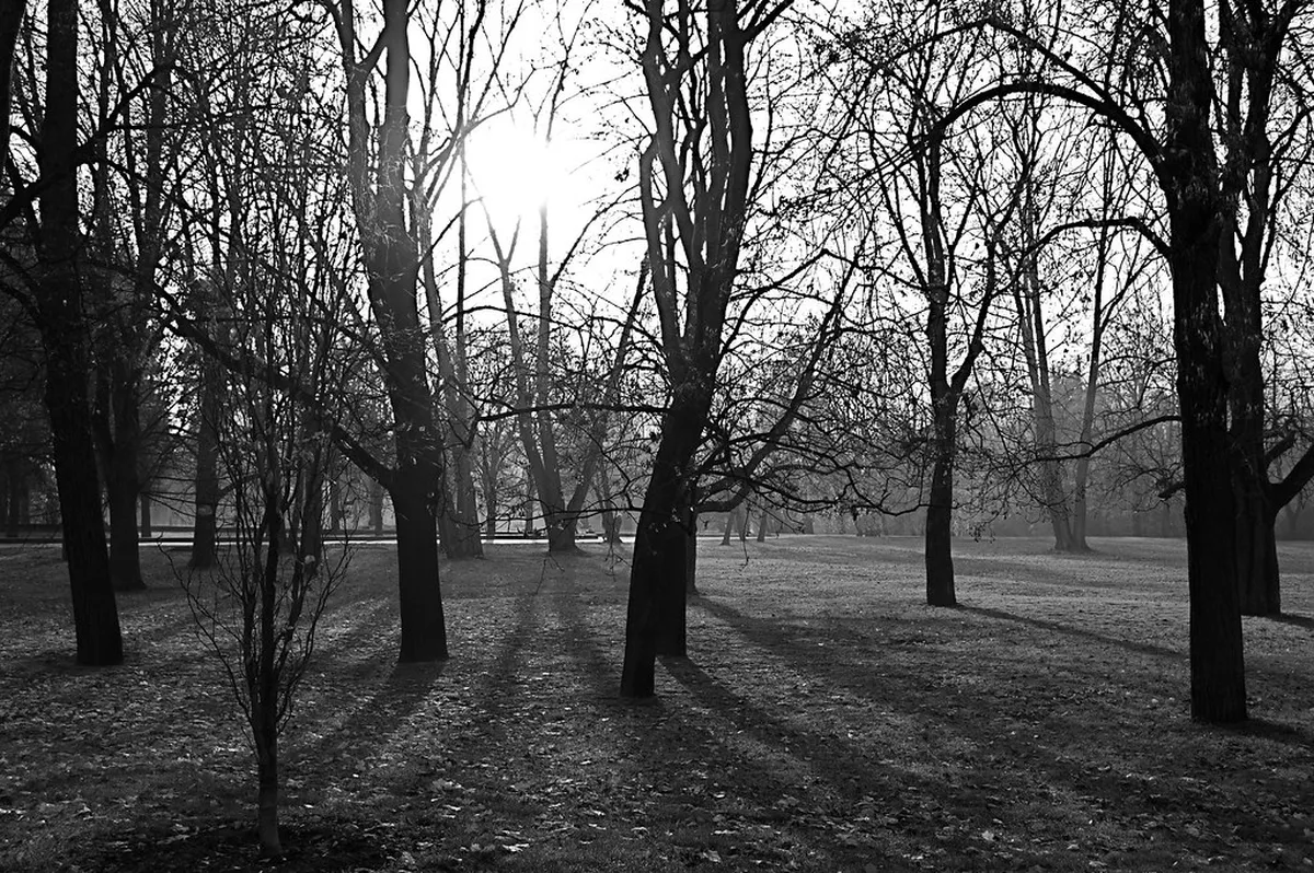 Prague Travel Guide 2026: Best Views, Day Trips & Hidden Gems